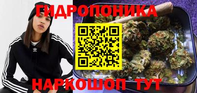 кокс Можга