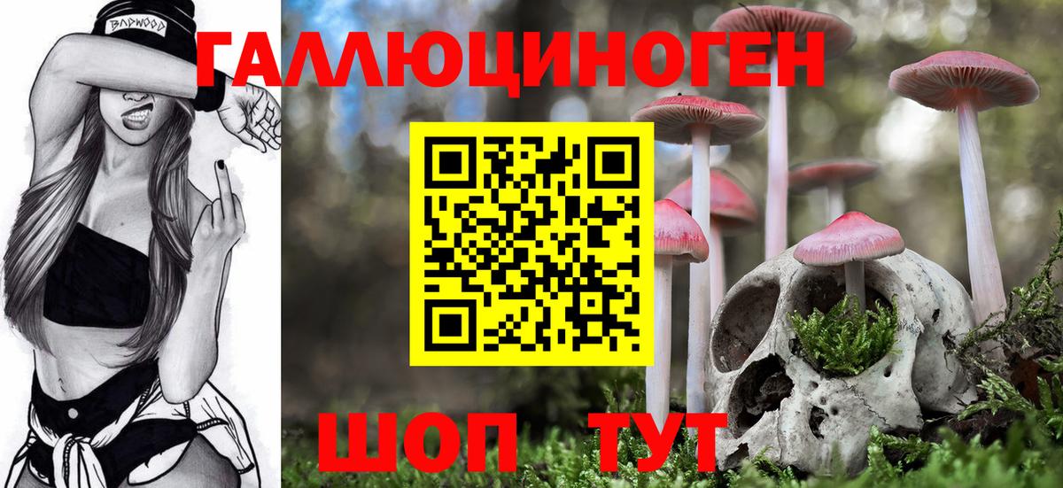 Псилоцибиновые грибы Psilocybe  Галлюциногенные грибы Psilocybe  купить   Вход с VPN  Волжский 